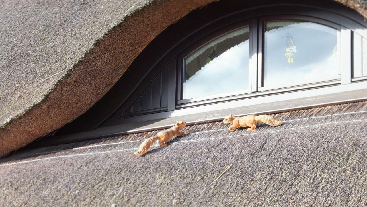Ferienwohnung "Schonzeit" Graal-Mueritz Exterior photo
